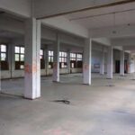 Ein großartiger Tag zur ersten BERLYMPIADE in Bernau 55 Bernau LIVE