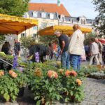 Lustiges Pausenbrot zum Wochenmarkt-Spezial in Bernau 4 Bernau LIVE
