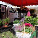 Lustiges Pausenbrot zum Wochenmarkt-Spezial in Bernau 3 Bernau LIVE