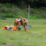 Barnim: Nachtrag zum 7. "Tag der Helfer" in Biesenthal 28 Bernau LIVE