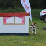 Barnim: Nachtrag zum 7. "Tag der Helfer" in Biesenthal 26 Bernau LIVE