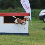 Barnim: Nachtrag zum 7. "Tag der Helfer" in Biesenthal 25 Bernau LIVE