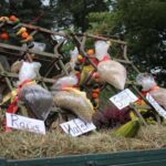 Barnim: Buntes Erntefest in Grüntal - Schön war´s 35 Bernau LIVE