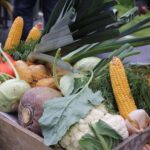 Barnim: Buntes Erntefest in Grüntal - Schön war´s 15 Bernau LIVE