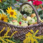 Barnim: Buntes Erntefest in Grüntal - Schön war´s 3 Bernau LIVE