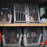 Barnim: Nachtrag zum 7. "Tag der Helfer" in Biesenthal 9 Bernau LIVE