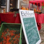 Bahnhofs-Musik-Fest am Kulturbahnhof Biesenthal 2 Bernau LIVE