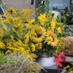 Bernau am Wochenende: Erntedankfest in Lobetal 2 Bernau LIVE