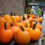 Naturpark- und Erntefest im BARNIM PANORAMA Wandlitz 46 Bernau LIVE
