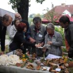 Naturpark- und Erntefest im BARNIM PANORAMA Wandlitz 22 Bernau LIVE