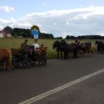 Festumzug zum Erntedankfest in Grüneberg 2 Bernau LIVE