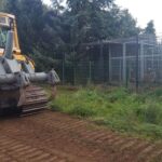 Grundsteinlegung: Na gut, dass wir gestern Tiger Diego besucht haben 39 Diego & Co: Baubeginn im Wildkatzenzentrum Felidae