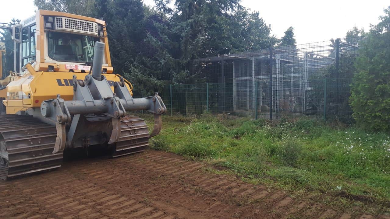 Diego & Co: Baubeginn im Wildkatzenzentrum Felidae