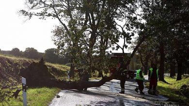 Barnim: Erster "Herbststurm" sorgte für einige Feuerwehreinsätze