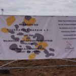 Grundsteinlegung: Na gut, dass wir gestern Tiger Diego besucht haben 36 Bernau LIVE