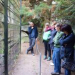 Grundsteinlegung: Na gut, dass wir gestern Tiger Diego besucht haben 24 Bernau LIVE