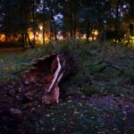 Sturmtief „Xavier“ fegte über unsere Region - Zahlreiche Schäden 12 Bernau LIVE