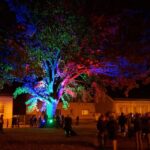Herbstleuchten in Wandlitz: Leider mehr Aqua als Lumina 2 Bernau LIVE
