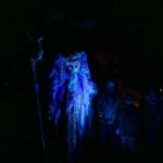 Herbstleuchten in Wandlitz: Leider mehr Aqua als Lumina 12 Bernau LIVE