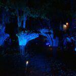 Herbstleuchten in Wandlitz: Leider mehr Aqua als Lumina 13 Bernau LIVE