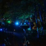 Herbstleuchten in Wandlitz: Leider mehr Aqua als Lumina 14 Bernau LIVE