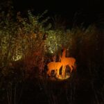 Herbstleuchten in Wandlitz: Leider mehr Aqua als Lumina 17 Bernau LIVE