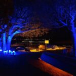 Herbstleuchten in Wandlitz: Leider mehr Aqua als Lumina 24 Bernau LIVE