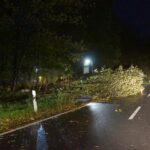 Sturm "Herwart" sorgte für große Schäden in Barnim 40 Bernau LIVE