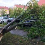Sturmtief „Xavier“ fegte über unsere Region - Zahlreiche Schäden 3 Sturmtief „Xavier“ fegte über unsere Region - Zahlreiche Schäden