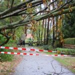 Sturm "Herwart" sorgte für große Schäden in Barnim 14 Bernau LIVE
