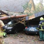 Sturm "Herwart" sorgte für große Schäden in Barnim 13 Bernau LIVE