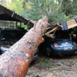 Sturm "Herwart" sorgte für große Schäden in Barnim 12 Bernau LIVE