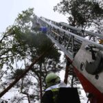 Sturm "Herwart" sorgte für große Schäden in Barnim 11 Bernau LIVE