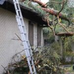 Sturm "Herwart" sorgte für große Schäden in Barnim 6 Bernau LIVE