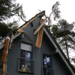 Sturm "Herwart" sorgte für große Schäden in Barnim 5 Bernau LIVE