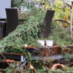 Sturm "Herwart" sorgte für große Schäden in Barnim 4 Bernau LIVE