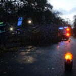 Sturm "Herwart" sorgte für große Schäden in Barnim 37 Bernau LIVE