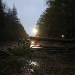 Sturm "Herwart" sorgte für große Schäden in Barnim 34 Bernau LIVE