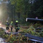 Sturm "Herwart" sorgte für große Schäden in Barnim 33 Bernau LIVE