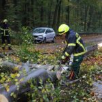 Sturm "Herwart" sorgte für große Schäden in Barnim 32 Bernau LIVE