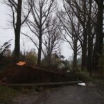 Sturm "Herwart" sorgte für große Schäden in Barnim 31 Bernau LIVE