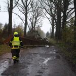Sturm "Herwart" sorgte für große Schäden in Barnim 30 Bernau LIVE