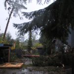 Sturm "Herwart" sorgte für große Schäden in Barnim 28 Bernau LIVE