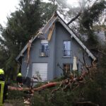Sturm "Herwart" sorgte für große Schäden in Barnim 26 Bernau LIVE