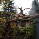 Sturm "Herwart" sorgte für große Schäden in Barnim 25 Bernau LIVE
