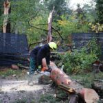 Sturm "Herwart" sorgte für große Schäden in Barnim 24 Bernau LIVE