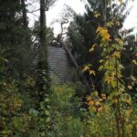 Sturm "Herwart" sorgte für große Schäden in Barnim 23 Bernau LIVE