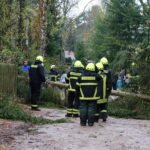 Sturm "Herwart" sorgte für große Schäden in Barnim 22 Bernau LIVE