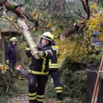 Sturm "Herwart" sorgte für große Schäden in Barnim 19 Bernau LIVE