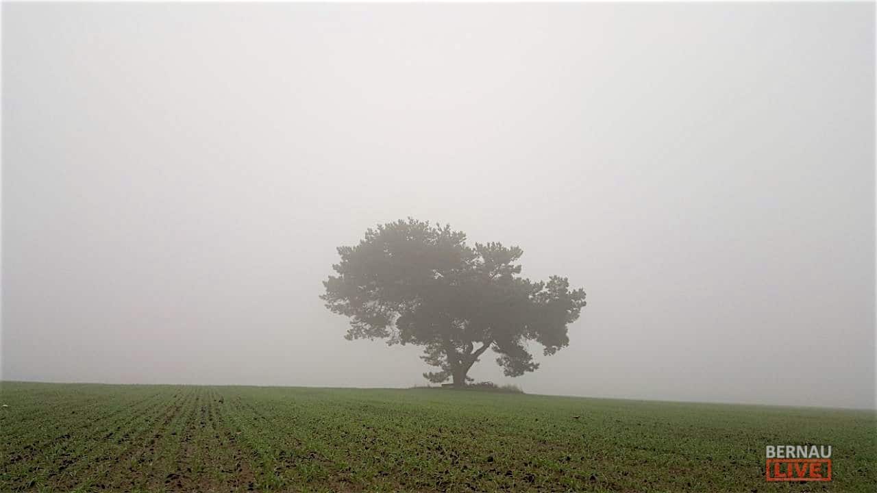 Herbst - Bernau: Mit Nebel und Sprühregen geht es in einen herbstlichen Dienstag